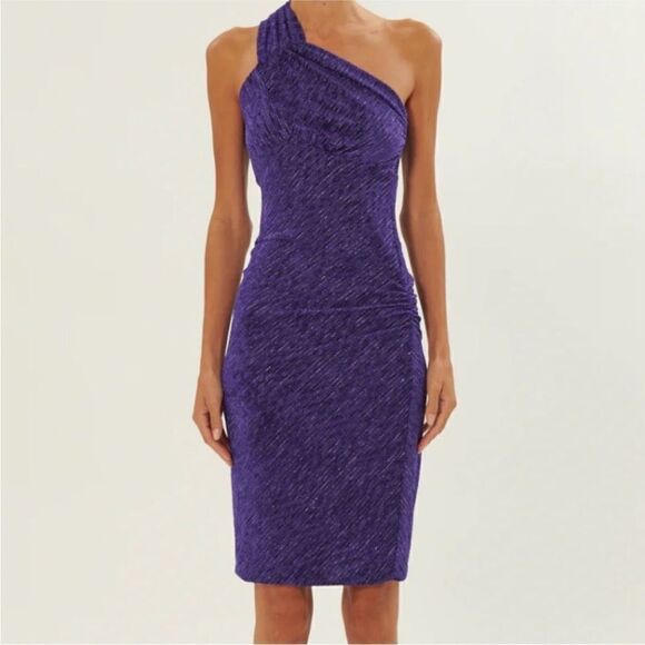 IRO Dresses & Skirts - NWT IRO Leandra Dress size Large-Q20